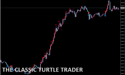 TheClassicTurtleTrader