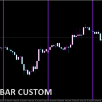 Time_Bar_Custom
