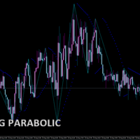 ZIGZAG PARABOLIC