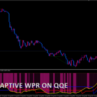 ! pa_adaptive_wpr_on_qqe_nmc