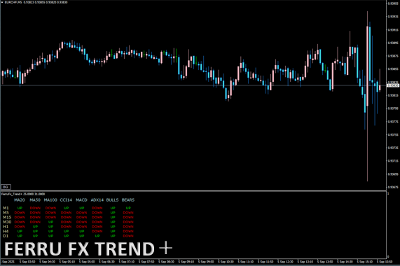 FERRU FX TREND＋