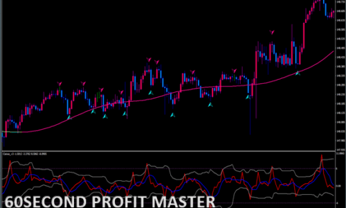 60 Second Profit Master