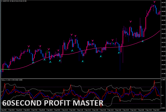 60 Second Profit Master