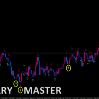 BINARY MASTER