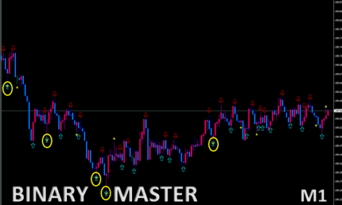 BINARY MASTER