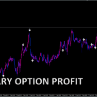 BINARY OPTION PROFIT