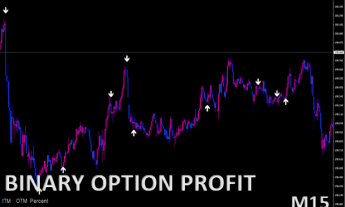 BINARY OPTION PROFIT