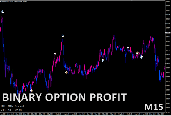 BINARY OPTION PROFIT