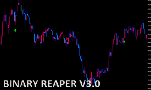 BINARY REAPER V3.0