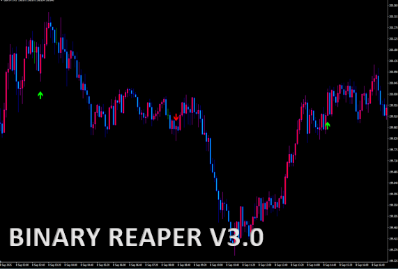 BINARY REAPER V3.0