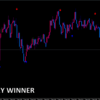 BINARY WINNER