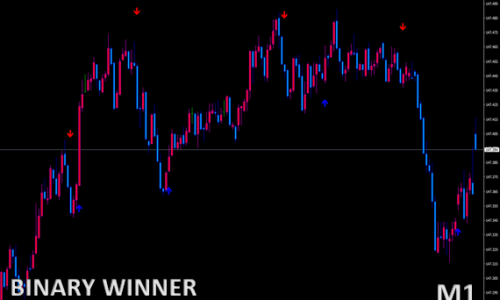 BINARY WINNER