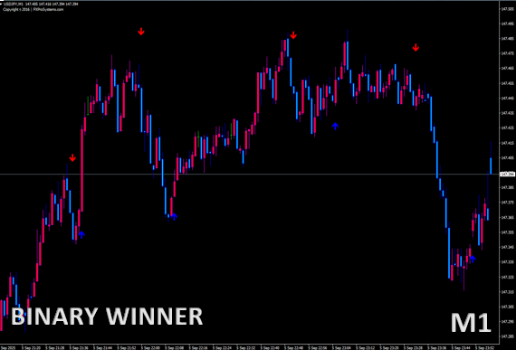 BINARY WINNER