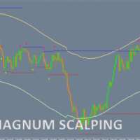 BO Magnum Scalping