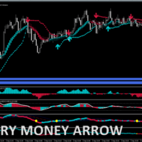 Binary Money Arrow