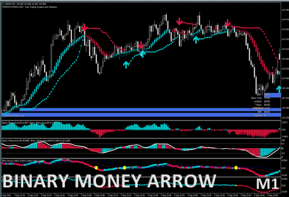 Binary Money Arrow