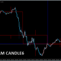 CUSTAM CANDLE　