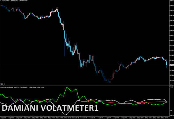 DAMIANI VOLATMETER