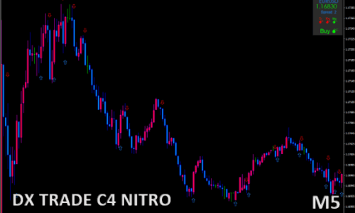 DX TRADE C4 NITRO