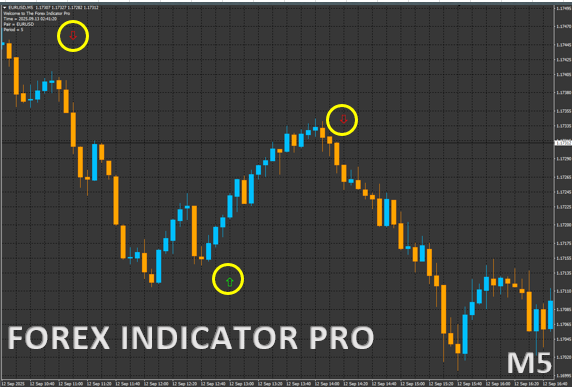 FOREX INDICATOR PRO