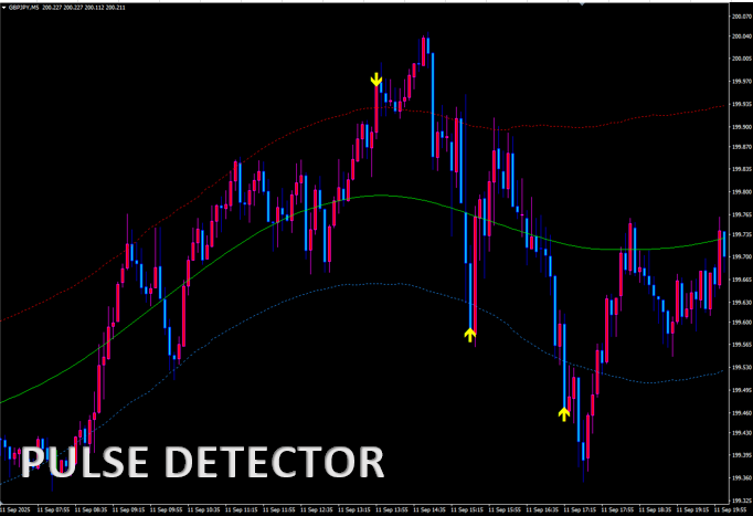 PULSE DETECTOR