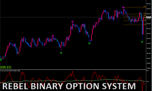 REBEL BINARY OPTION SYSTEM