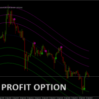 STAR PROFIT OPTION