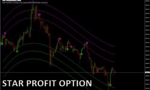 STAR PROFIT OPTION