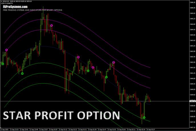 STAR PROFIT OPTION