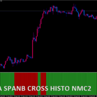SpanA - SpanB cross Histo nmc 2