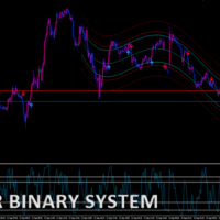 VIPER BINARY SYSTEM