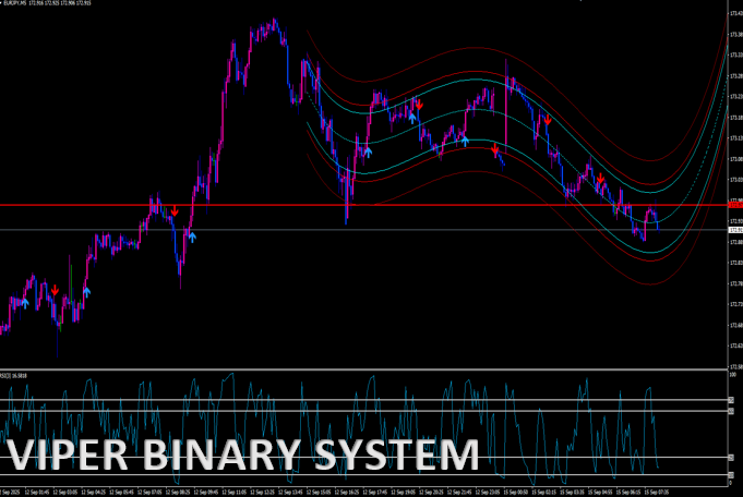 VIPER BINARY SYSTEM