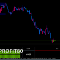 WINPROFIT80