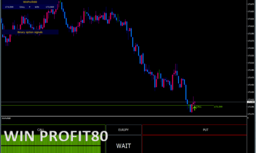 WINPROFIT80