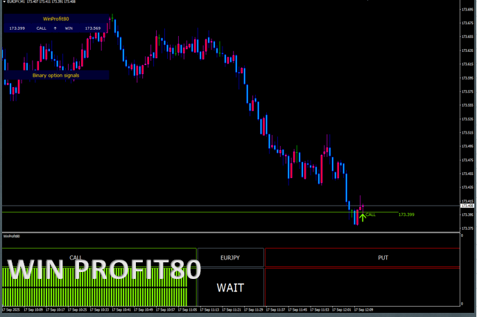 WINPROFIT80