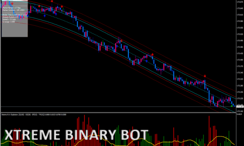 XTREME BINARY BOT