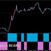sefc bulls-bears