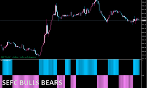 sefc bulls-bears