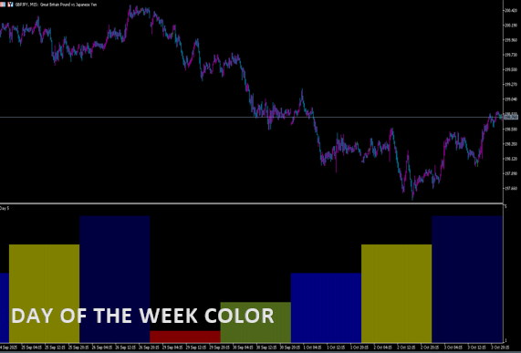 DAY OF THE WEEK COLOR